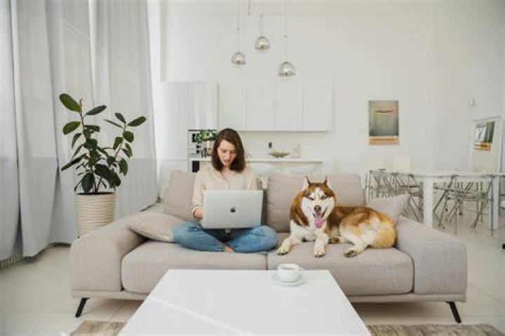 What happens if you pay too little tax on PAYE?