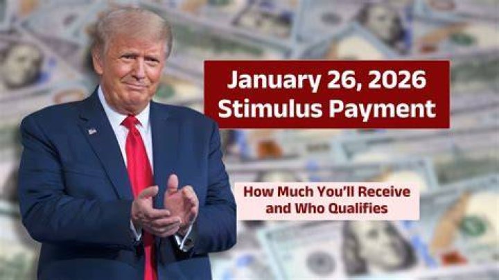 What happens if you receive a stimulus payment in error?