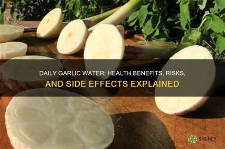 What happens when you drink garlic water everyday?