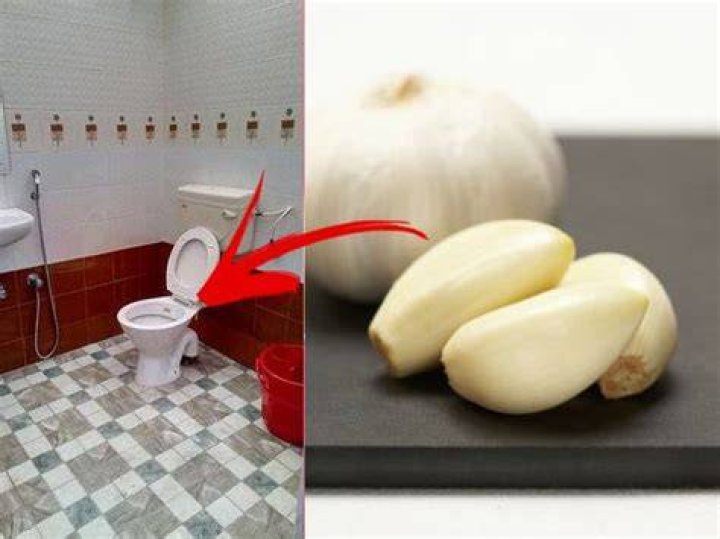 What happens when you put garlic in the toilet?