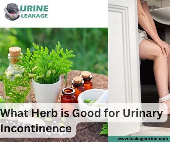 What herb is good for urinary incontinence?
