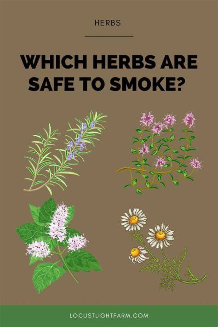 What herbs can you smoke?