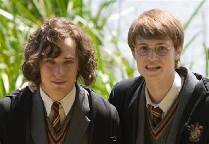 What house is James Sirius Potter put into?