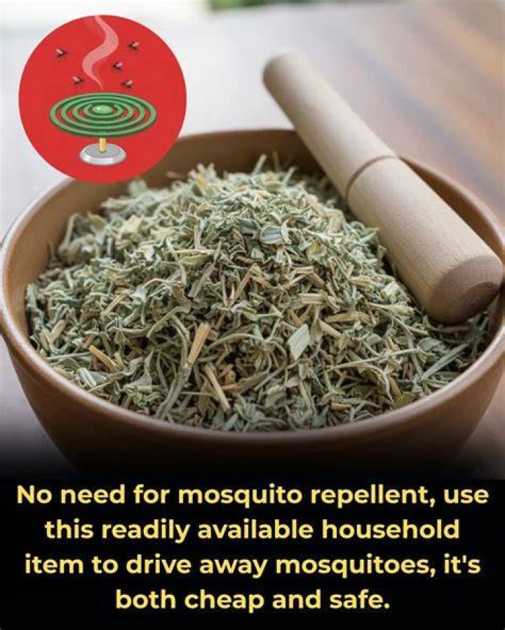 What household item kills mosquitoes?