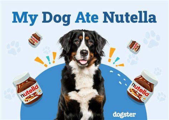 What if my dog eats Nutella?