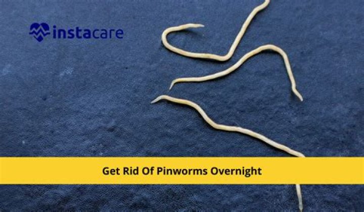 What if pinworms go untreated?