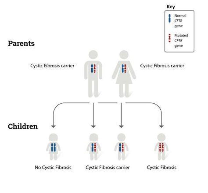 What if two siblings have cystic fibrosis?
