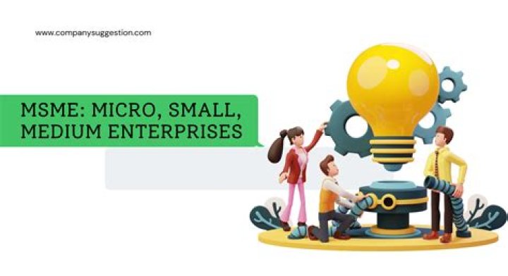 What important role do small micro and medium enterprises play in the economy?