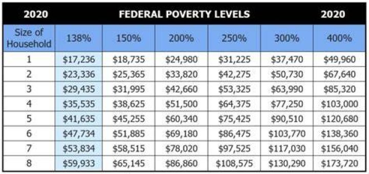 What income is considered poverty level in 2020?