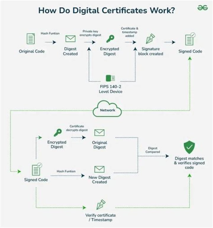 What information is contained in a digital certificate?