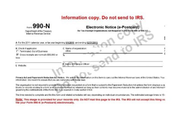 What information is needed for Form 990-N?