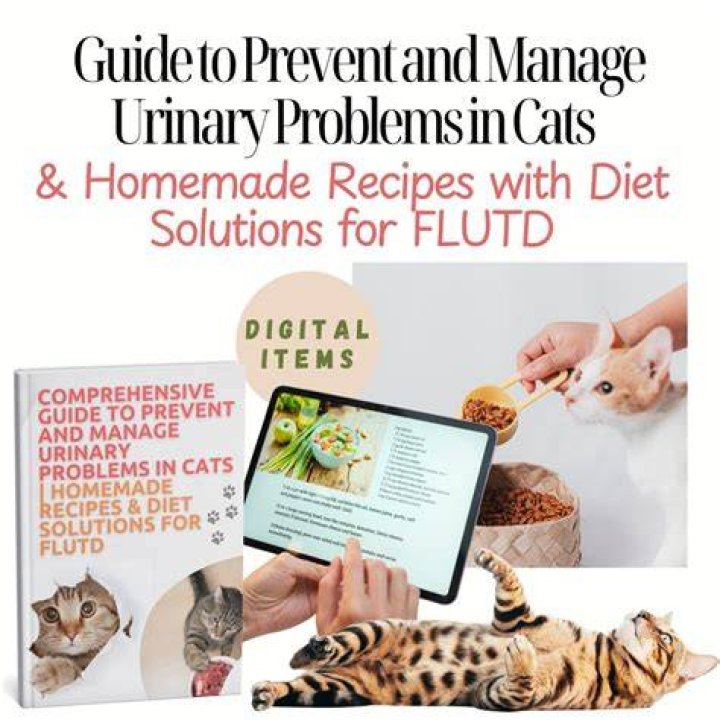 What ingredient in cat food causes urinary problems?
