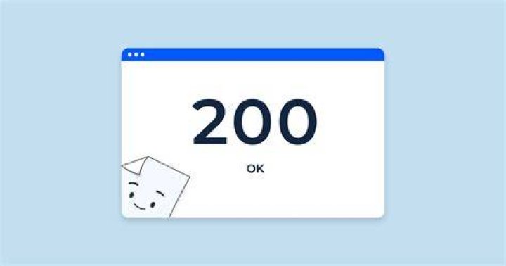 What is a 200 response code?