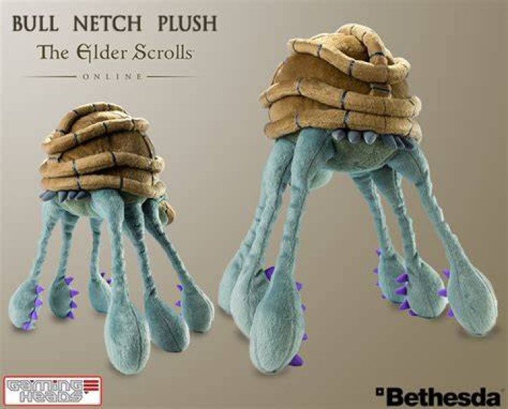 What is a bull netch?