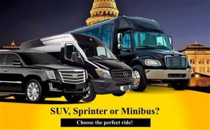 What is a bus matron?
