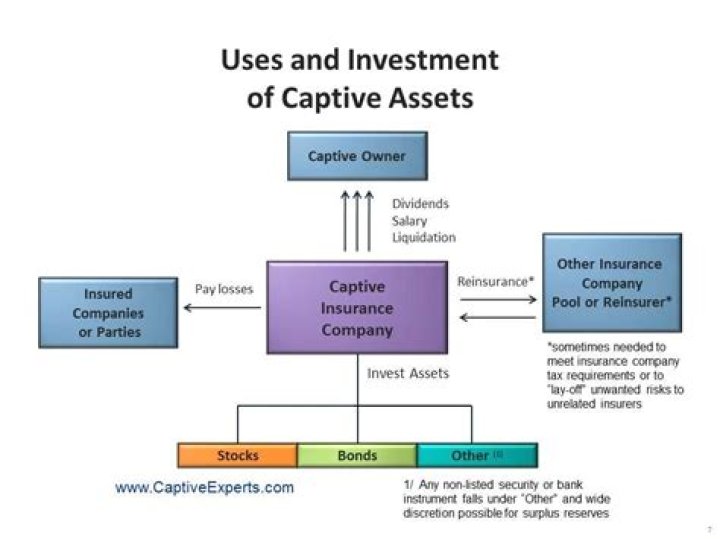 What is a captive insurance fund?
