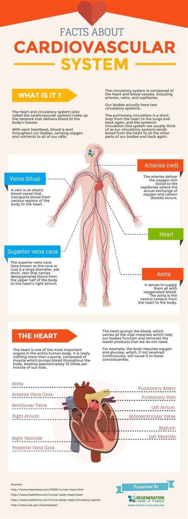 What is a cardiovascular information system?