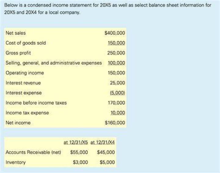 What is a condensed income statement?