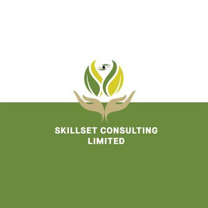What is a consulting skillset?