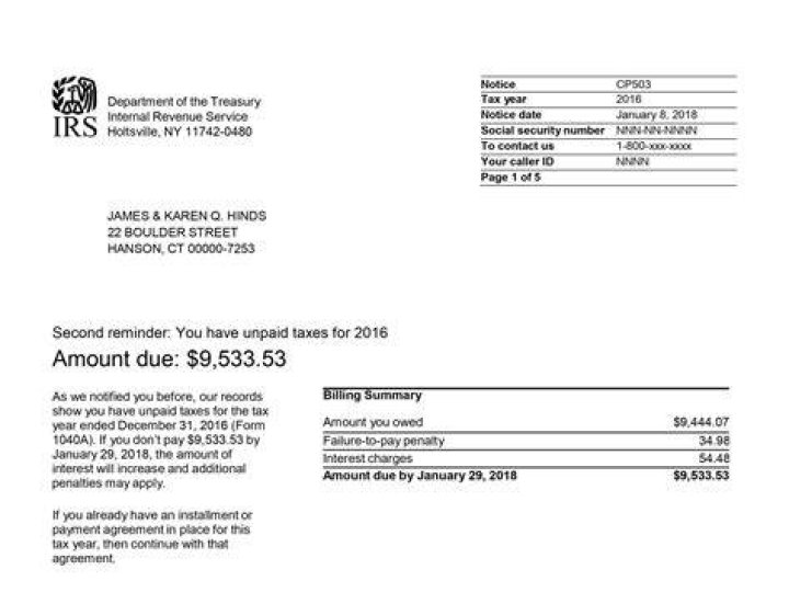 What is a CP503 notice from IRS?