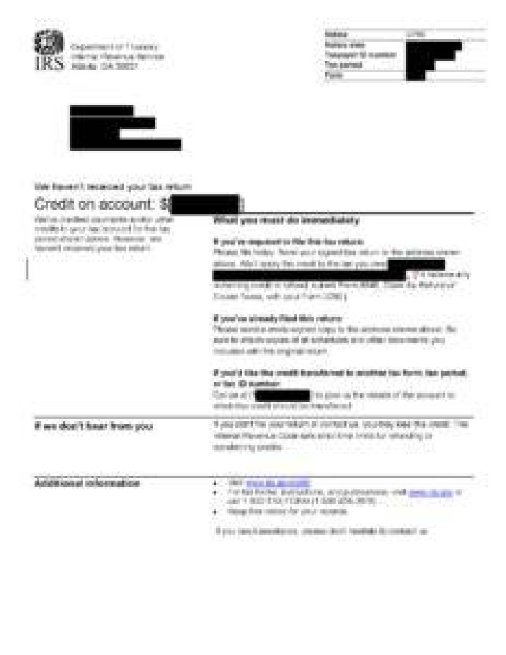 What is a CP80 IRS Notice?
