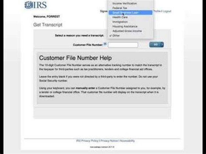 What is a customer file number on the IRS website?