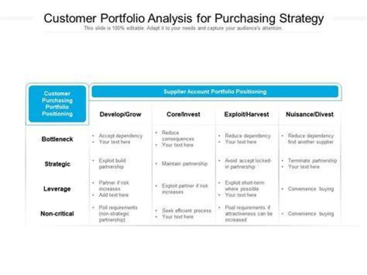 What is a customer portfolio analysis?