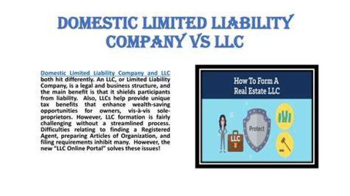 What is a domestic limited LLC?