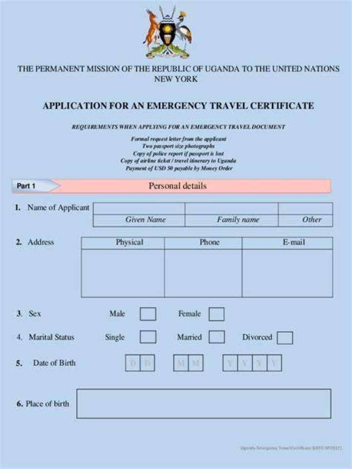 What is a emergency travel document?