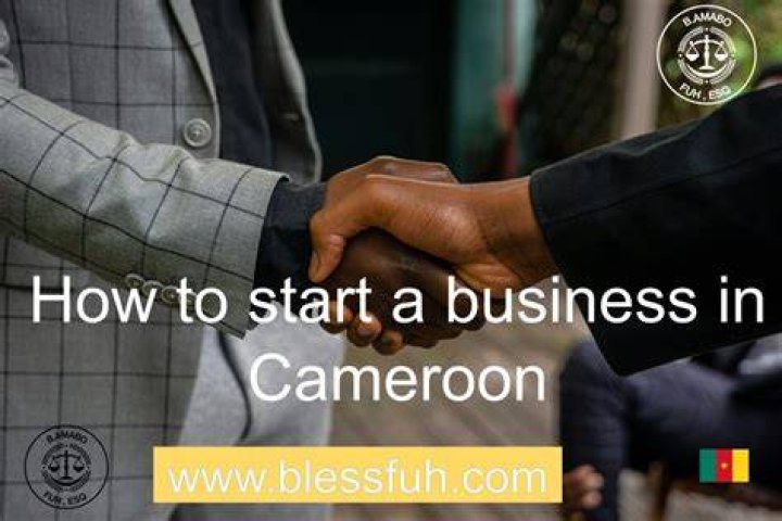 What is a good business to start in Cameroon?