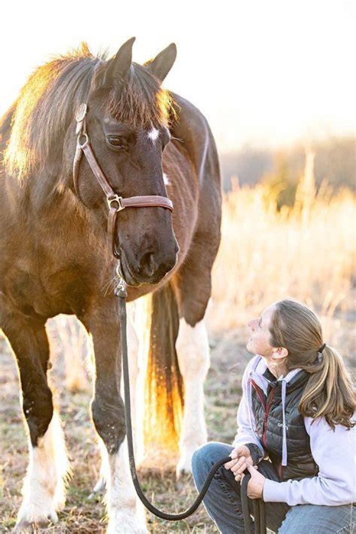 What is a good companion for a horse?