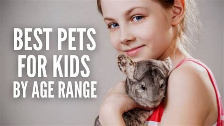 What is a good pet for a 3 year old?