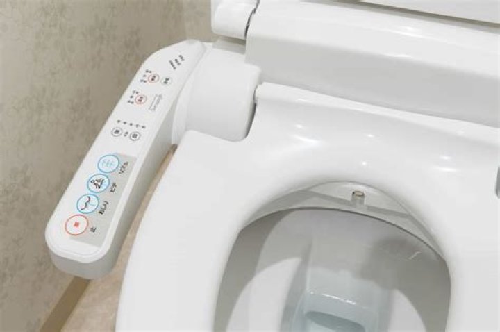 What is a Japanese toilet like?