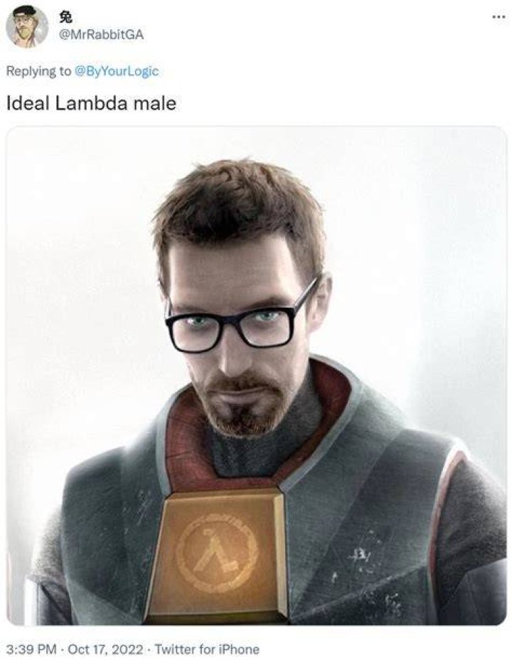 What is a lambda male?