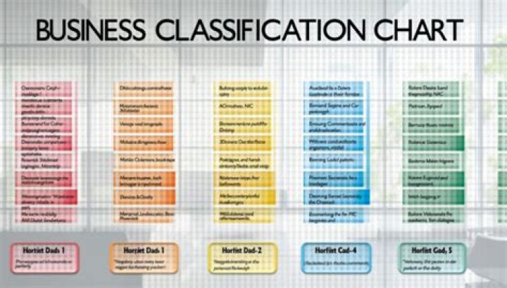 What is a large business classification?