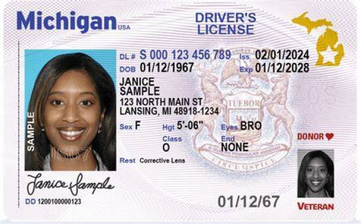 What is a license type 0 in Michigan?