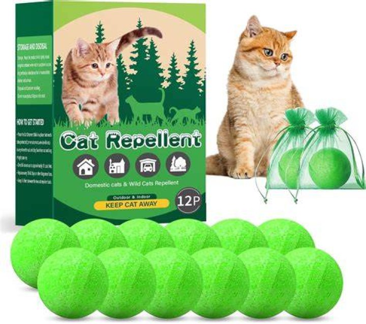 What is a natural cat deterrent?