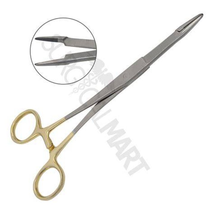 What is a needle holder called?