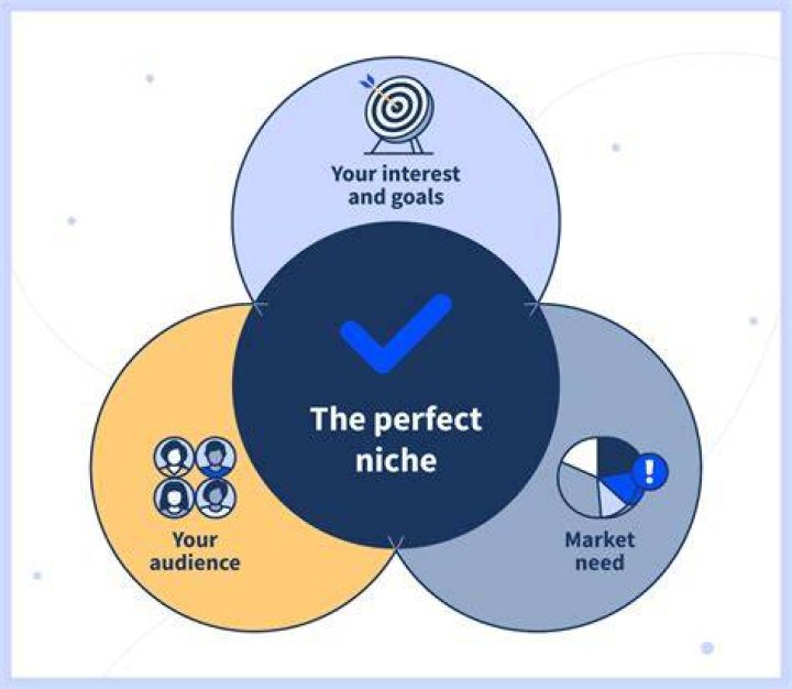 What is a niche media product?