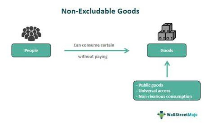 What is a non-excludable product?