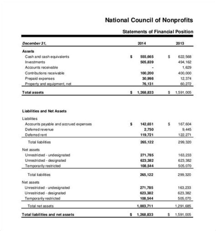 What is a non profit financial statement?