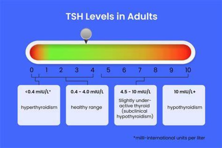 What is a normal thyroid level in a woman?