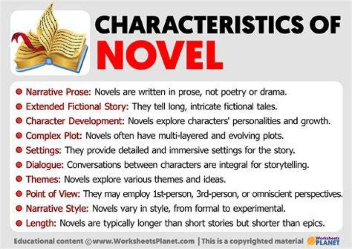 What is a novel and its characteristics?