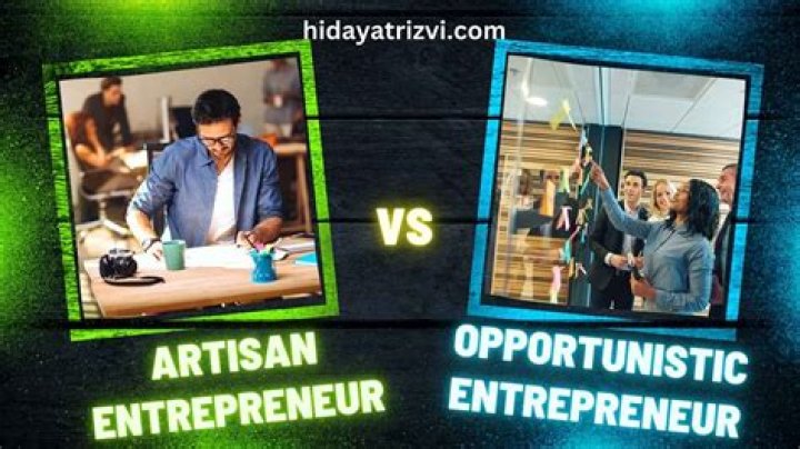 What is a opportunistic entrepreneur?