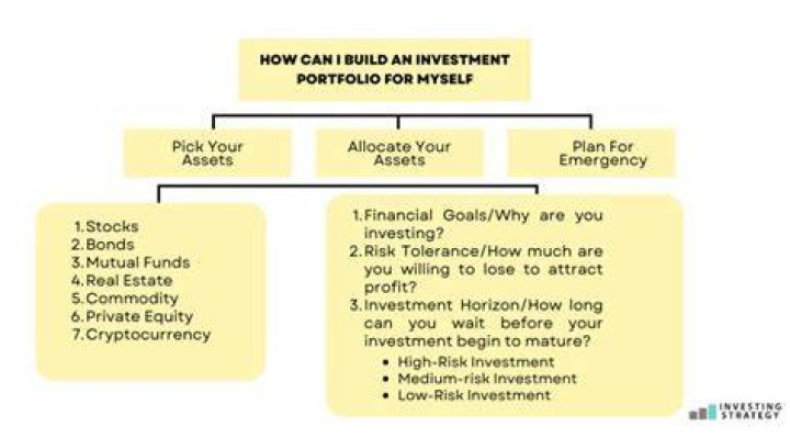 What is a portfolio investment company?