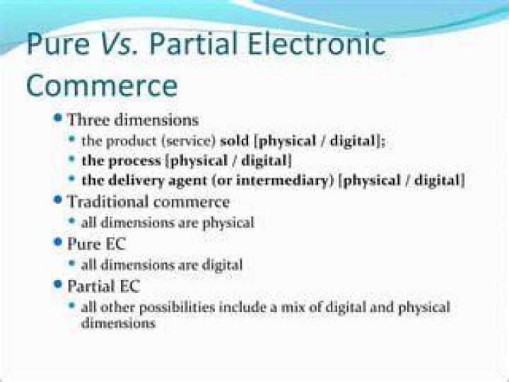 What is a pure e-commerce?