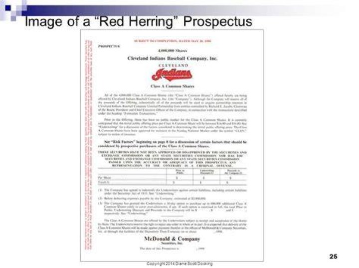What is a red herring prospectus also known as?