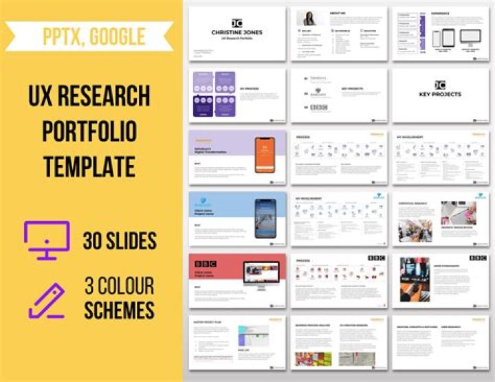 What is a research project portfolio?