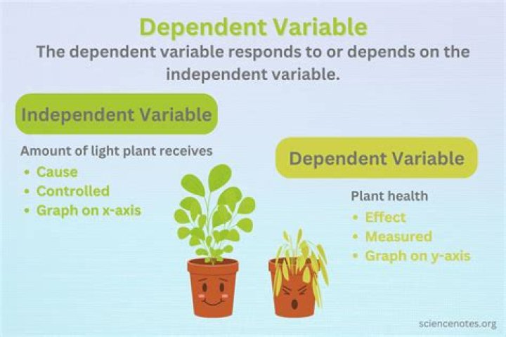 What is a scientific dependent variable?
