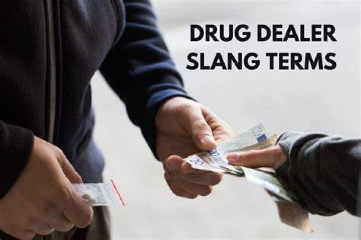 What is a slang word for drug dealer?